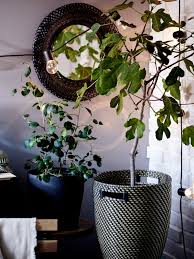 Smaller indoor plant pots will give a new home to a variety of house plants to put on top of furniture and give beautiful accents around your house. Garden Decoration Garden Decor Ikea