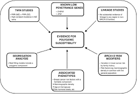 Studies have shown that a woman's risk of developing breast cancer is related to her exposure to hormones that are produced by her ovaries (endogenous estrogen and progesterone).reproductive factors that increase the duration and/or levels of exposure to ovarian hormones, which stimulate cell growth, have been associated with an increase in breast cancer risk. Models Of Genetic Susceptibility To Breast Cancer Oncogene