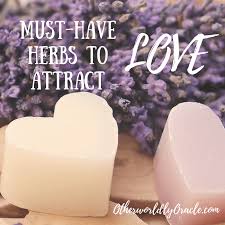 Early christians often brought these flowers to adorn statues of the virgin mary, which may be the origin of its use in love charms. Herbs To Attract Love Lavender Rose Rue More