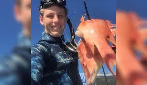 Boasting a large beach area that allows spearos to fish directly offshore makes it a great choice for families. Meet The Spear Fisherman Determined To Single Handedly Save Florida S Hogfish Population The Inertia