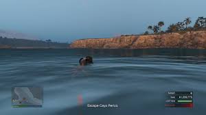 Easter eggs are hidden features or messages, inside jokes, and cultural references inserted into media. Found This Lochness Monster Easter Egg While In The New Cayo Perico Heist I Was Trying To Die Gtaonline