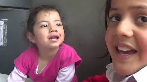 SEÑOR ELEFANTE, ESO NO SE HACE