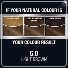 Natural brunettes benefit the most from this dark hair color. Buy Garnier Olia Ammonia Free Brilliant Color Oil Rich Permanent Hair Color 6 0 Light Brown Pack Of 1 Brown Hair Dye Packaging May Vary Online In Taiwan B00bp8oq4w