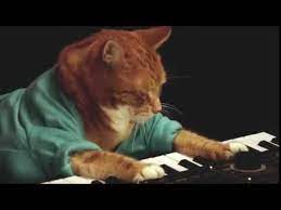 the iconic keyboard cat has died the internet has gone into full blown mourning celebrity paparazzi blown iconic internet cat facts cats cat memes