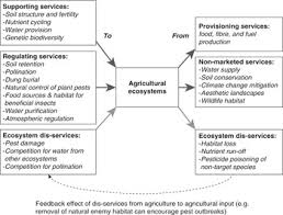 Treatments for ants, spiders, cockroaches and other common pests should be done once a year. Integrating Biodiversity And Building Resilience Into Agricultural Systems Part Ii Agricultural Resilience