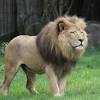He joined liverpool's training academy in 2004, at the age of six. Https Encrypted Tbn0 Gstatic Com Images Q Tbn And9gcscq7bpowoeotaono0k61iyya 5hfqqwkko9vilbrjhsrikqejt Usqp Cau