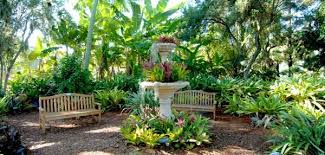 Photo Tour Selby Gardens Botanical Gardens Florida Attractions Sarasota