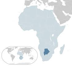 Image result for Megaloprotachne albescens