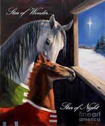 Star Of Wonder By Jeanne Newton Schoborg Wonder Art Art Horse Art