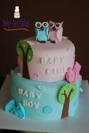 Twin Owls Two Tier Twin Baby Shower Cake Baby Shower Cakes Twins Baby Shower