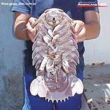 Bismillah…simple, tapi bermakna buat semua muslim. Gambar Yang Menakjubkan Masuk Sini