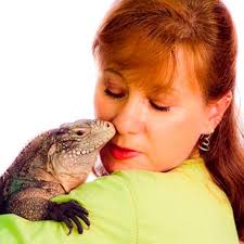Lizard Love : Townsend, Wendy: Amazon.in: Books