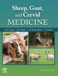 Pdf Sheep Goat And Cervid Medicine 3rd Edition Cervid Goats Sheep