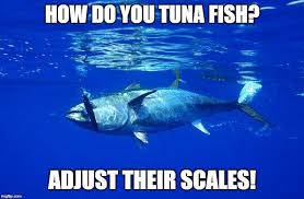 Tuna Fish Fishing Memes Animals Cute Animals