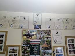 That's better, that space needed filling 🤣🤣😁😁❤️❤️