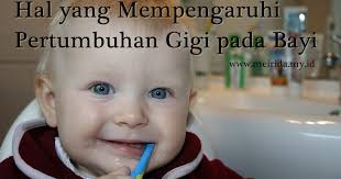Jangan mencicipi atau makan adonan mentah. Usia 11 Bulan Bayi Belum Tumbuh Gigi Normalkah Meirida Review Lifestyle Blog