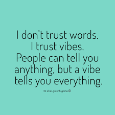 I Don T Trust Words I Trust Vibes People Can Tell You Anything But A Vibe Tells You Everything Bossbabe Positiveen Trust Words Memes Quotes Words Quotes