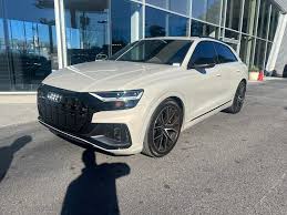 Image result for Vicuna Beige 2023 Q7