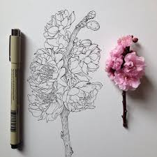 Fiori Facili Da Disegnare Disegno Di Un Fiore Rametto Fiorito Disegno Di Fiori Idee Per Disegnare Disegno Fiori