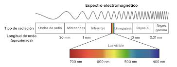 La luz es una metáfora común en la biblia. Luz Y Pigmentos Fotosinteticos Articulo Khan Academy