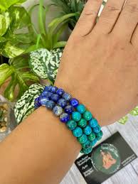 Image result for Chrysochloa