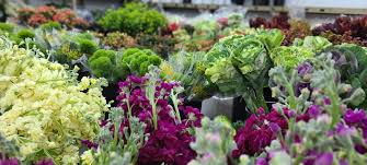 Maybe you would like to learn more about one of these? Flowers Berkeley Florist Supply