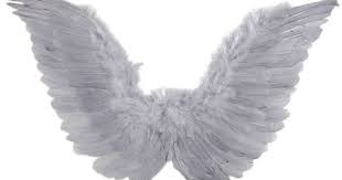 Grey Bird With Blue Black And White Wings Grey Feather Wings Hot Topic 13 Sgd Liked On Polyvore Featuring Costumes Fillers Wings Accessories Angel Wings Png Feather Wings Black Feather Meaning