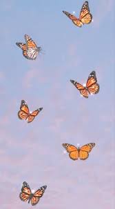 Ver más ideas sobre mariposa monarca, mariposas de colores, imagenes de mariposas. 43 Ideas De Mariposas Aesthetic Ideas De Fondos De Pantalla Fondos De Pantalla De Iphone Fondos De Pantalla Iphone Tumblr