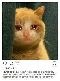 Hooman Sedih Tidak Berbicara Satu Rasa Sedih Bercerita Tentang Rasa Menyiksa Batin Melemahkan Jiwa D Anak Kucing Gemas Anak Kucing Menggemaskan Bayi Kucing