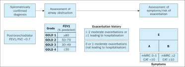 Image result for COPD Exacerbation Decision Tool