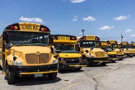Image result for School Bus Yellow 2019 Transit