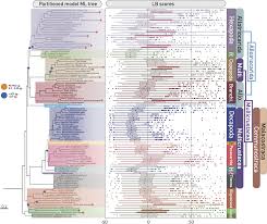Frontiers | Incomplete lineage sorting and long-branch attraction confound  phylogenomic inference of Pancrustacea