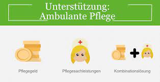 Was Kostet Pflege Finanzierung Der Pflegekosten