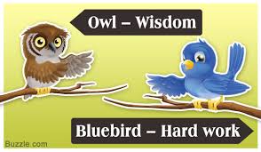 Symbolism Birds And Their Meanings Most Of Us Take Delight On Seeing A Fleet Of Geese Flying In A V Shaped Formation And Often Take It As A Sign Of Victory Birds F Blue Bird Owl Wisdom