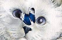 Ojolie Ecards Animated E Cards Online Greeting Cards For Birthday Christmas Valentine Etc Cat Nap Ecards Funny Animated Ecards
