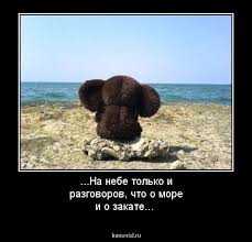 а на небе только и разговоров что о море Na Nebe Tolko I Razgovorov Chto O More I O Zakate