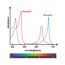 Maybe you would like to learn more about one of these? Grow Light Wikipedia
