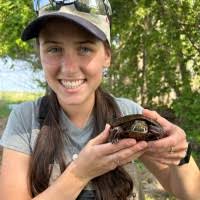 80+ "Belrose" profiles