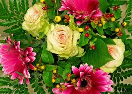 ØµÙˆØ±Ø© Ø°Ø§Øª ØµÙ„Ø©