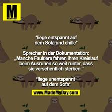 Faultiere Lustige Spruche Lustige Zitate Und Spruche Witzige Spruche