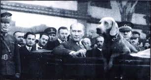 Foks Uludag Sozluk