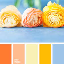 We did not find results for: Color Palette 2179 Orange Color Palettes Blue Colour Palette Color Palette