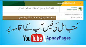 How To Check Your Maktab Amal Payment Paid Or Not Paid On Your Iqama Youtube Payment Amal