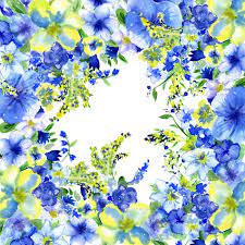 Cosmos flowers yellow flowers wild flowers beautiful flowers yellow plants summer flowers may flowers plantation garden art. Watercolor Dark Blue And Yellow Flowers On A White Background Stock Photo Picture And Royalty Free Image Image 18172204
