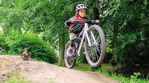 Your little mountain bikers will enjoy looking official like mom and dad in their mtb jersey. E Mountainbikes Fur Kinder Im Test Bike Bild