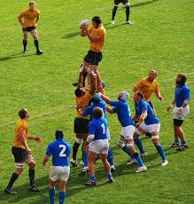 Rugby Games World Cup Behind Scenes The Travel Tart Blog Rugby Games Rugby Rugby Men