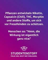 Klick dich einfach mal rein. 400 Studentenstoff Ideen Studentenleben Studenten Sms Von Gestern