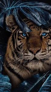 Peeking To See You Can You See Me Wild Animals Pictures Animals Beautiful Wild Animals Photos
