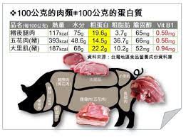 樂活營養師 生活營養學 100公克的肉類 100公克的蛋白質
