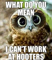 Check spelling or type a new query. Quotes Funny Owl Quotesgram